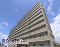 ピュア藤原西町1004