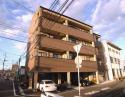 ステラマリス